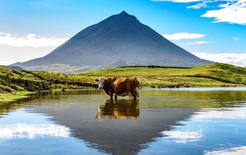 Azores