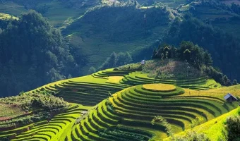 Rice_terrace_Vietnam_2846777_675