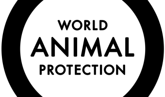 World_Animal_Protection_logo.svg