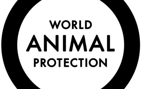 World_Animal_Protection_logo.svg